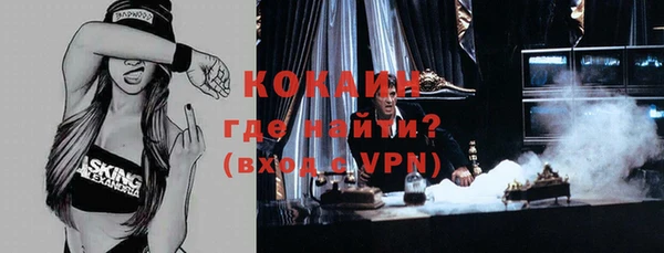 гидра Осинники