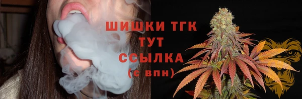 гидра Осинники