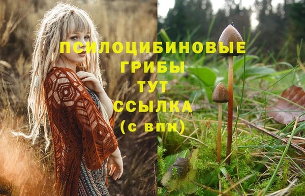 mix Болохово