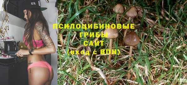 гидра Осинники