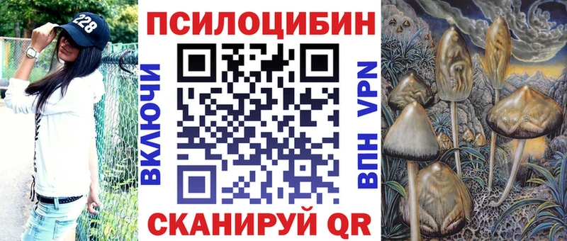 сколько стоит Томск Псилоцибиновые грибы Cubensis